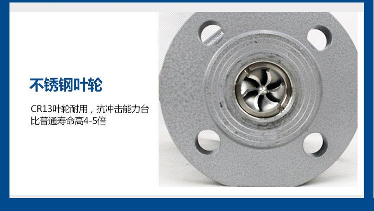 旋进旋涡流量计_09 (2).jpg