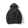 Casaco de algodão masculino, jaqueta de inverno masculina, novo modelo 2026, casaco de algodão acolchoado espesso à prova de frio e quente para homens, off-white, sem forro