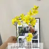 Flores de Orquídea Artificiales para Fondo de Techo de Salón de Bodas Decoración Floral, Guía de Pasillo, Arreglo Floral de Techo Alto, Orquídea de Nieve Fragante