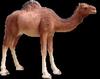 Lámpara led escénica para exteriores con modelado de animales resina acero vidrio lámpara de paisaje 3D elefante flamenco jirafa
