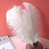 Penas de Avestruz 15-60CM Flores de Mesa para Casamento Decorações Decorações de Casamento Adereços para Performance de Palco diy Acessórios Nenhum