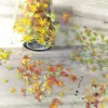 Cinta con Estampado Dorado, Letras de Hoja de Arce con Temática de Garrote Estilo Antiguo, Material Fluido con Temática de Chica, Paquete de Pegatinas para Estudiantes