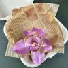 Cabeça de flor de cymbidium simulada cabeça de magnólia pessoas minoritárias DIY cocar grampo de cabelo caixa de presente combinando acessórios de grampo de cabelo decorativos