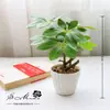 Fábrica de flores artificiais fornecimento direto flor artificial árvore rica bonsai decoração de interior criativa planta verde artificial planta em vaso de simulação geração de cabelo