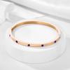 Pulsera de Acero de Titanio con Circonita Colorida de 4 mm, Chapada en Oro de 18K a la Moda, Acero Inoxidable Inmarcesible, Diamante Completo, Pulsera para Mujer