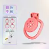 Reproductor LiPu Candado de Castidad para Tableta SM + 4 Anillos + Llave Candado de Castidad Juguete Productos para Adultos Juguetes Eróticos para Adultos
