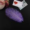 Decoración floral, pluma de avestruz, pluma de color, materiales de embalaje para flores, accesorios para ramos, suministros de floristería, paquete, colocación de flores