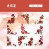 Retro Story Flower Corner Series Paquete de Stickers Esquina Floral Manual Material DIY Stickers Decorativos 20 Hojas 6 Estilos