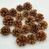 Pinhas Secas Flores Secas Frutas Secas Decoração de Natal Acessórios para Guirlanda Materiais Enfeites Retro Artesanal DIY Adereços para Fotografia