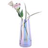 Florero de Vid Estilo ins Simple Creativo Nórdico para Levantar Agua Transparente Florero de Celebridad de Internet para Sala de Estar Adornos de Decoración con Flores Secas