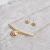 Conjunto de Colar e Brincos Europeu e Americano da Moda Especial Mais Vendido Aço Titânio de Alta Qualidade com Preservação de Cor Luxo Acessível Conjunto de Colar de Duas Peças