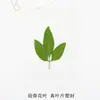 Marcadores de Hojas, Marcadores de Flores Secas Sellados en Plástico, Marcadores de Especies Vegetales Sellados en Plástico, Marcadores de Hojas de Ginkgo, Marcadores de Hojas sin Etiquetas