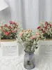 Gipsófila Rosa Ramo Seco Real de Año Nuevo Flor Eterna Decoración de Oficina Accesorios para el Hogar Estilo Ins Escandinavo