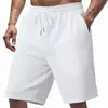 Novos Produtos Transfronteiriços Verão Europeu e Americano Masculino Luxo Pesado Jacquard Multifiado Casual Esportivo Solto Trendy Shorts de Praia