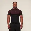 Gymshark Fitness Tops Masculino Casual Corrida Secagem Rápida Respirável Macacão Curta Manga Camiseta Masculino Muscle Shark
