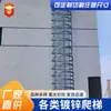 Escada de Aço Galvanizado, Escada de Segurança para Telhado, Parede Externa de Energia, Escada de Gaiola para Poço Profundo, Escada de Aço Inoxidável