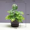 Planta verde artificial, planta en maceta de plástico, eucalipto artificial, planta verde artificial, adorno de plástico, flor artificial, bonsái.