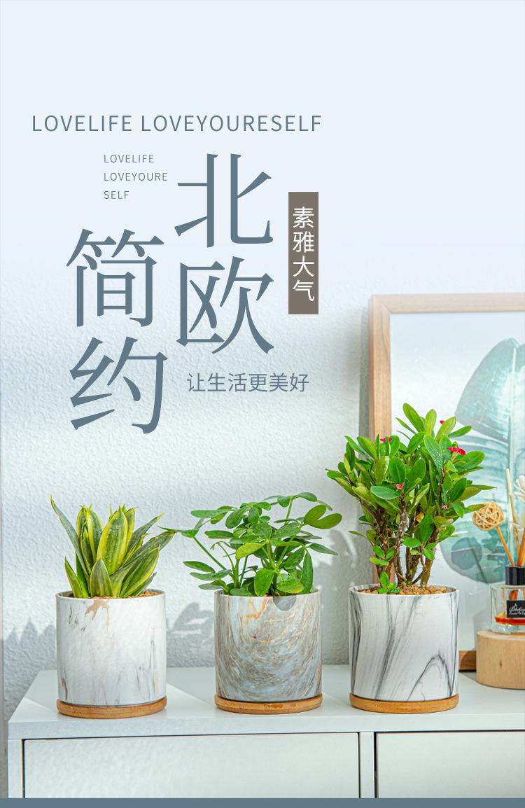 详情图01.jpg