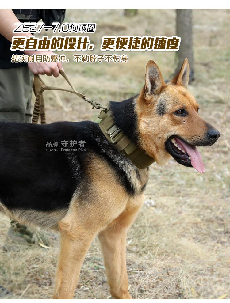05信息_01.jpg