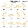 Juguete de Huesos de Dinosaurio Modelo Fósil de Dinosaurio Jurásico Transfronterizo Pterosaurio Brachiosaurus Tyrannosaurus Rex Stegosaurus