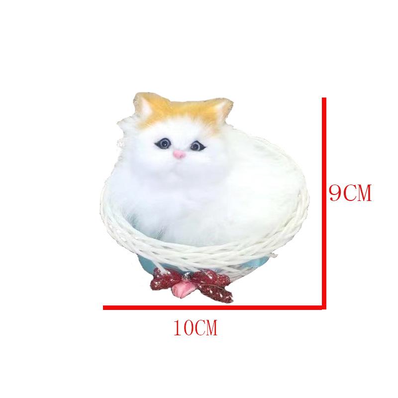 猫尺寸.jpg