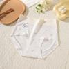 2025 Nuevo Transpirable y Cómodo Verde Esmeralda Azul Suave Rosa Flor de Cerezo Viscosa Cintura Media Lyocell Antibacteriano Ropa Interior para Mujer