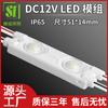 Módulo LED de 2 luces Fuente de luz 12V Publicidad Carácter Luminoso Moldeo por Inyección Módulo de 1W Alto Brillo Impermeable Módulo 2835