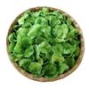 Suministro lechuga deshidratada rodajas de lechuga lechuga deshidratada rodajas de lechuga secas rodajas de lechuga a granel de granja verduras deshidratadas