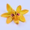 Presilha de Cabelo Orquídea Cymbidium Marfim Simulada Presilha Lateral Noiva Madrinha Acessório de Cabelo de Casamento Férias na Praia Viagem Adorno para Cabeça