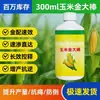 Fertilizante Foliar Maíz Oro Palo Grande, Específico para Maíz, Promueve el Crecimiento de Raíces, Fortalece Plántulas, Alarga y Agranda Plantas, Resistente a Sequía, Anti-Caída, No. 1 para Crecimiento de Grano Completo