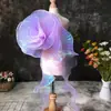 Todo el rollo de encaje de hoja de loto transparente color mágico malla degradada hilo de organza plisado tridimensional accesorios de ropa para vestidos de novia