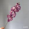 8 Hastes de Orquídeas Phalaenopsis para Decoração de Casamento, Arranjo Floral para o Salão do Casamento, Orquídeas Phalaenopsis Morandi