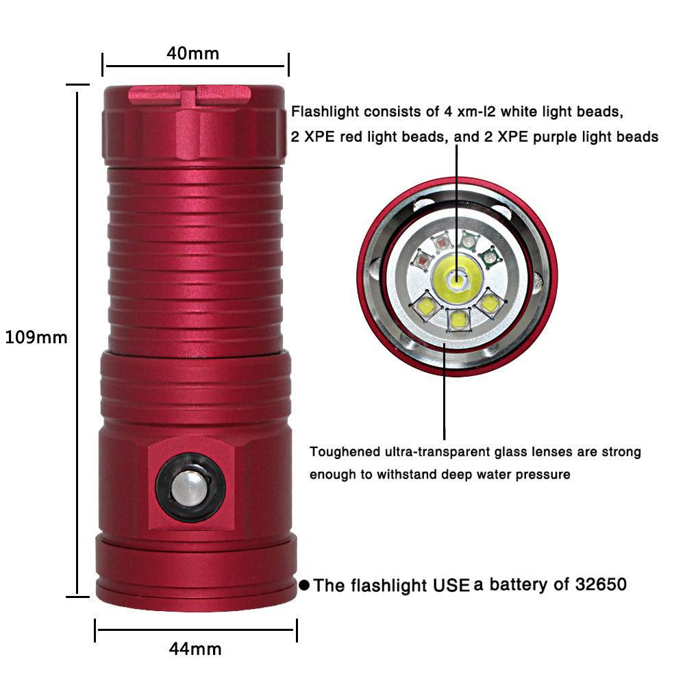 204c538821637087ff94df45d6e74f