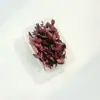 Paquete de Materiales Hechos a Mano para Bricolaje Flores Mixtas Plantas Flores Secas Piñas de Navidad Estilo Bosque para Jardín de Infancia Creación Ambiental Decoración