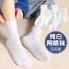 Calcetines de Verano para Niños Medianos y Grandes de Algodón Calcetines de Estudiante de Tubo Medio Calcetines de Malla Blanca Pura Transpirables Absorbentes de Sudor Deportivos Calcetines Malolientes