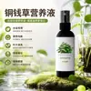 Solución Nutricional Especial para Hidroponía y Cultivo en Tierra de Hierba Moneda de Cobre Universal Promueve la Expansión de la Maceta Hace Crecer Hojas Nuevas Previene el Amarillamiento de las Hojas Fertilizante Líquido Fabricante Una Pieza