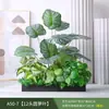 Paisagismo com Plantas Verdes Simulação Floreira Divisória de Piso Arte Floral de Chão Paisagem de Plantas Combinação de Floreira Flor Artificial em Vaso Bonsai Decoração