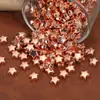 Ccb Plástico ABS Galvanizado Cuentas Estrella de Cinco Puntas Agujero Recto Cuentas Sueltas Pulsera de Cuentas Hecha a Mano DIY Collar Accesorios de Joyería