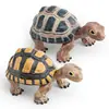 Juego de 2 Figuras Realistas de Tortugas Terrestres  Figuras de Tortugas de Plástico PVC para Niños Juguetes Educativos de Reptiles Decoraciones de Naturaleza 12x75x65 cm Perfec