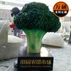 Escultura de fibra de vidrio de frutas y verduras mercado de agricultores escultura de verduras y frutas decoración decoración coliflor Pimiento Verde escultura de col