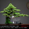 Novos Enfeites de Planta em Vaso Pinheiro de Boas-Vindas Estilo Chinês Decoração de Paisagem Zen para Entrada de Casa Sala de Estar Mesa de Escritório