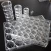 Salão de Unhas Caixa de Joias de Plástico Transparente Caixa de Armazenamento Frasco Redondo Contas Contas de Diamante Contas Soltas Compartimento Anti-Oxidação Shihua