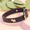 Collar para mascotas tamaño pequeño y mediano para perro textura piel sintética PU acero inoxidable accesorios para cachorros se puede combinar con correa de tracción