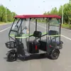 Triciclo de dosel completamente cerrado vehículo de ocio dosel triciclo para ancianos triciclo eléctrico dosel de vehículo con cerramiento transparente Dezhuzhu