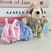 Novo estilo pingente Leader Dog, calça floral, roupas de boneca, macacão floral, calça bolha, roupas e acessórios Labubu
