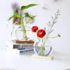 Criativo Estilo Nórdico Arte em Madeira Ornamento Hidropônico Pothos Vaso de Vidro Sala de Estar Decoração de Casa Exibição de Mesa de Escritório