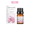 Aceite Esencial de Planta de Aromaterapia Soluble en Agua Perfumeoil Perfume Aceite Esencial de Aromaterapia Fragancia de Larga Duración Aceite Esencial de Aromaterapia Fresco