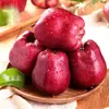 Manzanas Huaniu de Tianshui, Gansu, disponible para dropshipping, 2.5/8 libras, 70-80 mm, fruta fresca de temporada, se vende en cajas completas