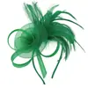 Diadema Caliente Transfronteriza Malla Pluma Tocado Retro Elegante Diadema Versátil Accesorios para el Cabello Fiesta Actuación Flor para el Cabello