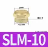 Silenciador Neumático Válvula Solenoide Cabeza Plana Conector de Barbilla Semi-Cobre Cobre Completo Silenciador Bsl/Bslm-M5/01/02/0304